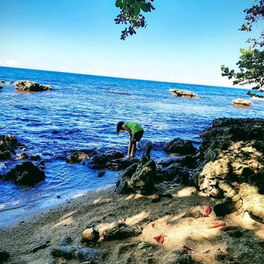 Cahuita Inn Exteriér fotografie