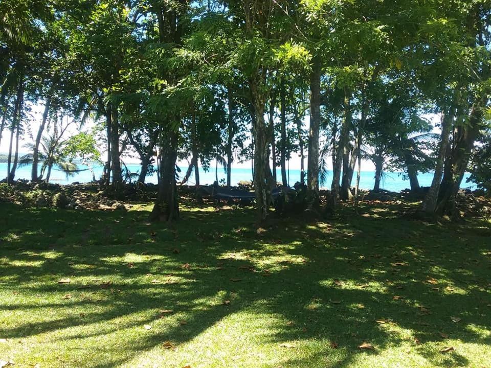Cahuita Inn Exteriér fotografie