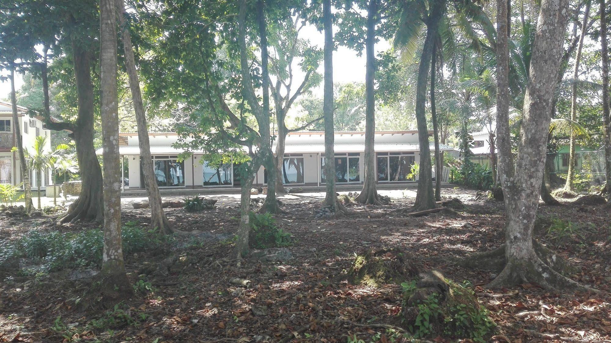 Cahuita Inn Exteriér fotografie